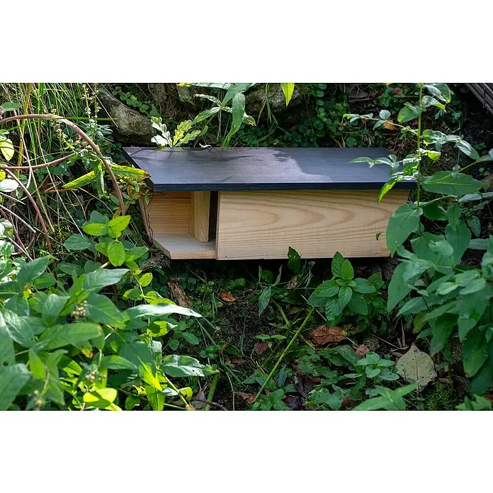 Dobar Nistkasten - 45 x 18 x 15 cm, Natur/ Dunkelbraun, Holz - Ein hölzernes Fledermausquartier mit einem dunklen Dach, eingebettet in üppiges Grün. Es bietet einen sicheren Unterschlupf für die nachtaktiven Tiere.