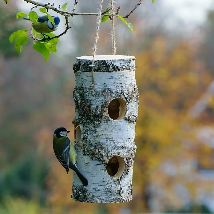 Dobar Meisenknödelhalter - L x B x H: 11 x 11 x 26 cm - Ein hölzernes Vogelhaus aus Birkenstämmen hängt an einem Ast, während zwei Meisen in der Nähe sitzen.