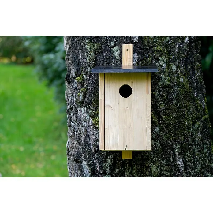 Dobar Nistkasten - 22 x 25 x 32 cm, Natur/ Dunkelbraun, Holz - Ein helles Vogelhaus mit rundem Loch hängt an einem moosbewachsenen Baum. Das Vogelhaus hat ein dunkles Dach und Holzstützen.