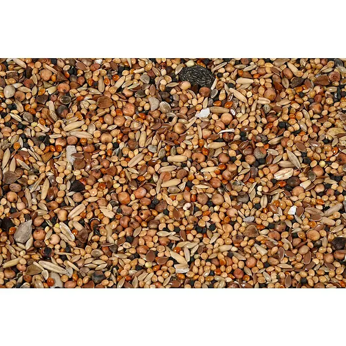 Dobar Wildvogelfutter mit Früchten - 7 kg - Vielfältige Mischung von Körnern und Samen für eine ausgewogene Ernährung von Vögeln, ideal für die Fütterung im Garten oder im Vogelhaus.