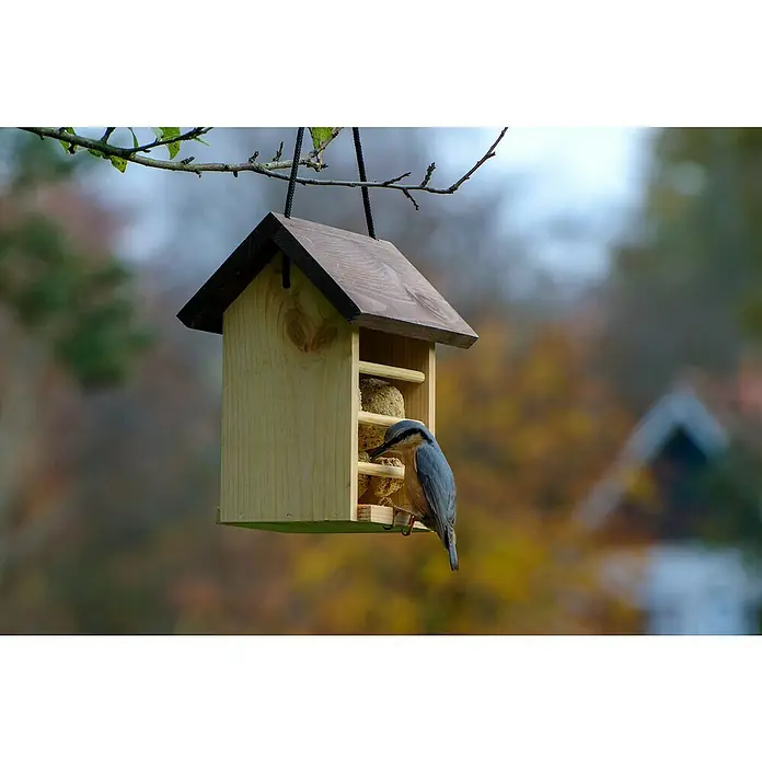 Dobar Meisenknödelhalter - L x B x H: 22 x 14 x 21 cm - Ein hölzernes Vogelhaus mit einem kleinen Vogel, der Futter pickt. Das Vogelhaus hängt an einem Ast und ist mit Futter gefüllt.