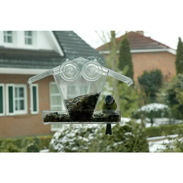 Dobar Vogelfutterstation - L x B x H: 24 x 9,6 x 15 cm - Eine Blaumeise sitzt auf einem transparenten Vogelfutterhaus, das mit Sonnenblumenkernen gefüllt ist, vor dem Hintergrund eines Hauses.