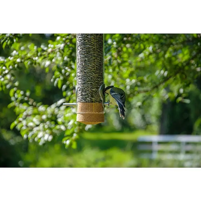 Dobar Futtersäule Pickbar-Premium - Holz - Ein Meisenknödel-Futterhaus mit einem Kohlmeise, die sich an den Samen bedient, umgeben von einem verschwommenen Hintergrund aus Grün.