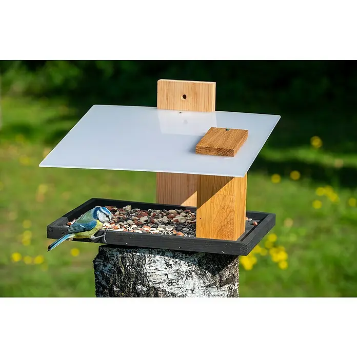 Dobar Vogelhaus Futura I - 32 x 26 x 23 cm, Holz, Weiß/ Schwarz/ Braun/ Natur - Modernes Vogelhaus aus Holz mit einem kleinen Vogel, der sich an den Samen gütlich tut. Das stilvolle Design macht es zu einem Blickfang im Garten.