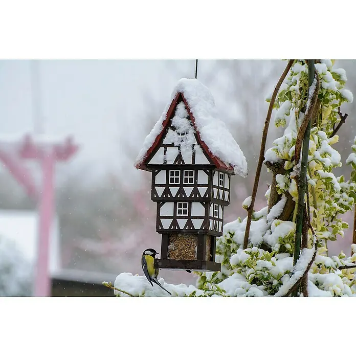 Dobar Vogelfutterhaus Zuckerhut - 20 x 18 x 41 cm, Weiß/ Braun/ Rot, Holz - Ein mit Schnee bedecktes Vogelhaus im Fachwerkstil, an dem ein Meisenknödel hängt, mit einer Blaumeise, die am Futter pickt.