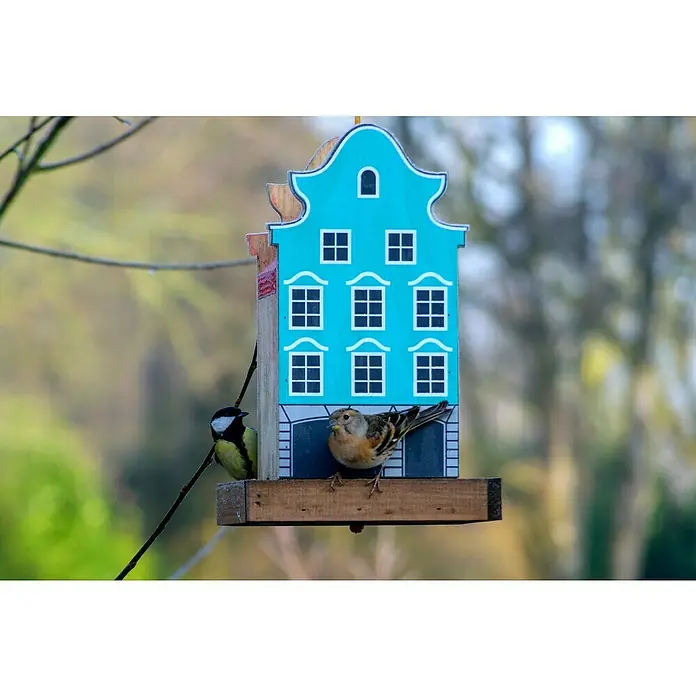 Dobar Vogelfutterhaus Aasee - 19 x 19 x 30 cm, Blau, Holz - Ein blaues Vogelhaus in Form eines Hauses mit zwei Vögeln darauf. Das Vogelhaus hat Fenster und ist an einem Ast befestigt.