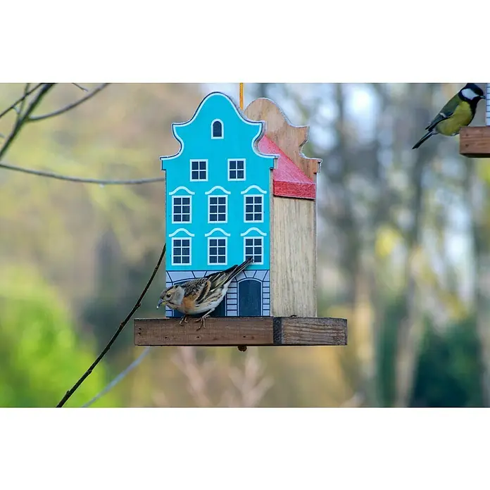 Dobar Vogelfutterhaus Aasee - 19 x 19 x 30 cm, Blau, Holz - Ein Vogelhaus in Form eines bunten Hauses, an dem ein kleiner Vogel frisst, während ein anderer auf dem Dach sitzt.