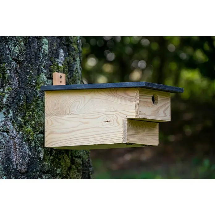 Dobar Nistkasten - 19 x 37 x 22 cm, Natur/ Dunkelbraun, Holz - Ein hölzerner Nistkasten mit einem schwarzen Dach ist an einem Baum befestigt und bietet so ein schützendes Zuhause für Vögel.