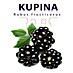 Piardino Kupina 