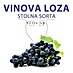 Vinova loza 