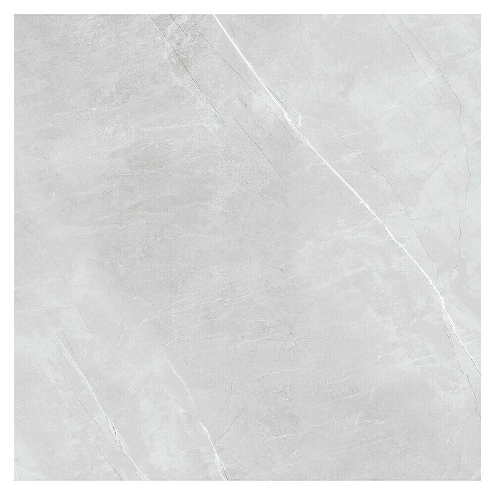 Feinsteinzeugfliese Aquila XXL (120 x 120 cm, Grau, Glänzend) | BAUHAUS