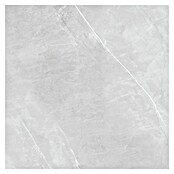 Feinsteinzeugfliese Aquila XXL (120 x 120 cm, Grau, Glänzend) | BAUHAUS