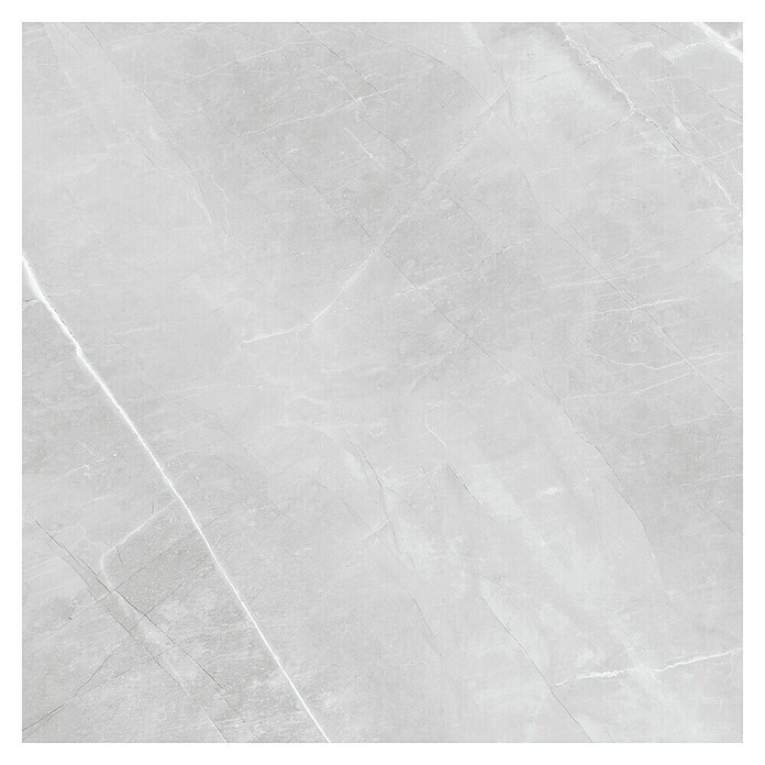 Feinsteinzeugfliese Aquila XXL (120 x 120 cm, Grau, Glänzend) | BAUHAUS