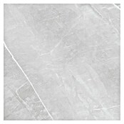 Feinsteinzeugfliese Aquila XXL (120 x 120 cm, Grau, Glänzend) | BAUHAUS