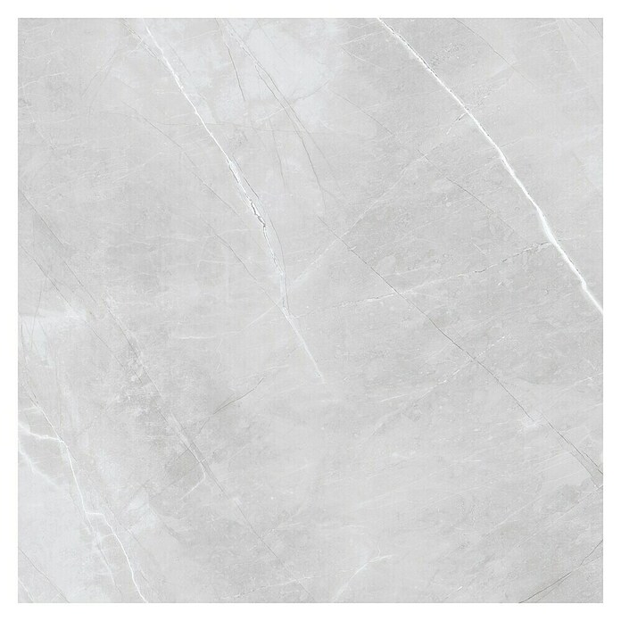 Feinsteinzeugfliese Aquila XXL (120 x 120 cm, Grau, Glänzend) | BAUHAUS