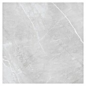 Feinsteinzeugfliese Aquila XXL (120 x 120 cm, Grau, Glänzend) | BAUHAUS
