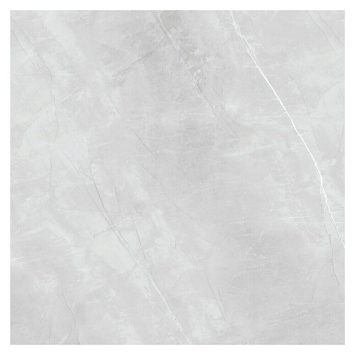 Feinsteinzeugfliese Aquila XXL (120 x 120 cm, Grau, Glänzend) | BAUHAUS