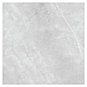Feinsteinzeugfliese Aquila XXL (120 x 120 cm, Grau, Glänzend) | BAUHAUS