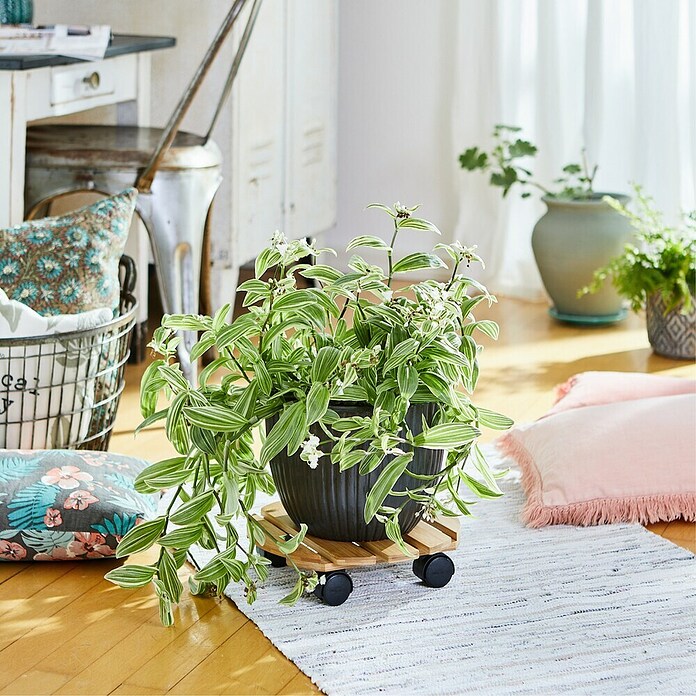 Wagner System Soporte con ruedas para plantas Roller bambú (L x An x Al: 29 x 29 x 7 cm, Bambú, Carga máx.: 100 kg) | BAUHAUS