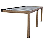 Palram – Canopia Marquesina adosada Helsinki (An x Pr: 730 x 300 cm, Cedro, Policarbonato, Translúcido) | BAUHAUS