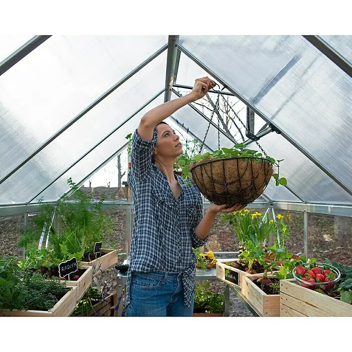 Palram – Canopia Invernadero Hybrid - Medidas ext. (An x Pr): 185 x 248 cm, Plateado, Área: 4,6 m² - Mujer en invernadero con cesta colgante, rodeada de fresas, rábanos y plantas en flor en cajas de madera, que aporta alegría al jardín.