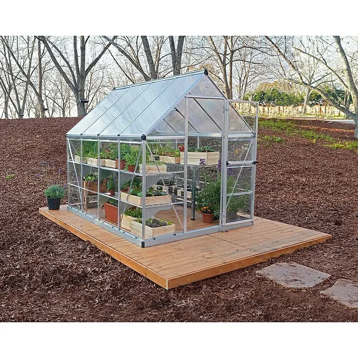 Palram – Canopia Invernadero Hybrid - Medidas ext. (An x Pr): 185 x 248 cm, Plateado, Área: 4,6 m² - El invernadero con estantes y plantas ofrece un ambiente ideal para cultivar diversas plantas en tu propio jardín.