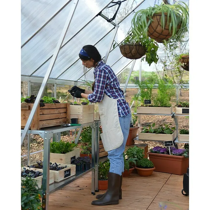 Palram – Canopia Invernadero Hybrid - Medidas ext. (An x Pr): 185 x 248 cm, Plateado, Área: 4,6 m² - Mujer en invernadero plantando plántulas en cajas de madera, rodeada de exuberante vegetación y plantas colgantes.