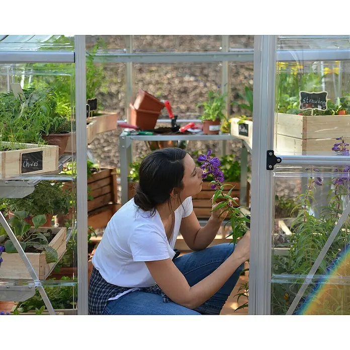 Palram – Canopia Invernadero Hybrid - Medidas ext. (An x Pr): 185 x 248 cm, Plateado, Área: 4,6 m² - Mujer en invernadero disfruta del aroma de las flores entre plantas como cebollino y fresas.