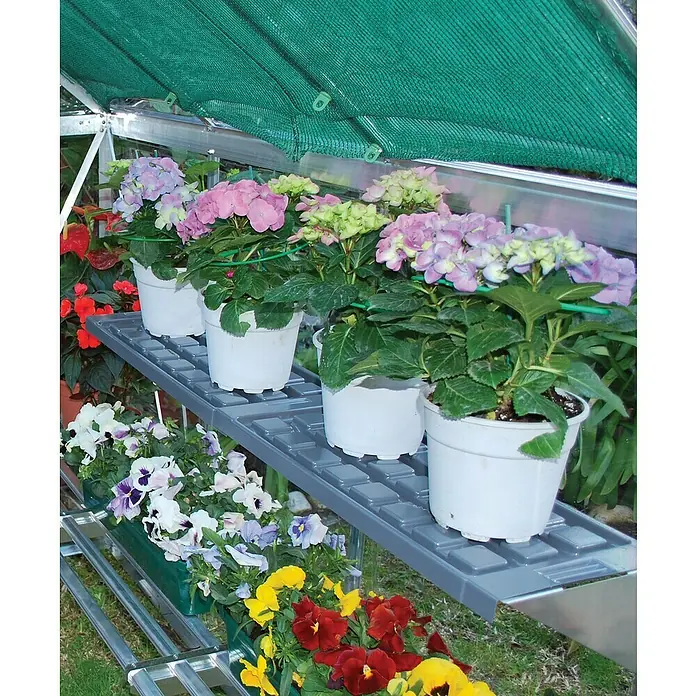 Palram – Canopia Estantería para invernadero - 125 x 26 cm, Acero - Estante para plantas que exhibe flores coloridas, incluyendo hortensias en macetas y pensamientos dispuestos en los estantes dentro de un invernadero.