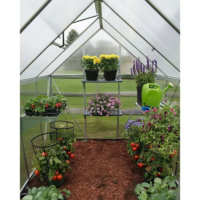 Palram – Canopia Estantería para invernadero - 125 x 26 cm, Acero - Invernadero con tomates maduros, fresas, lechuga, caléndulas y lavanda. Perfecto para cultivar diversas plantas en un espacio pequeño.