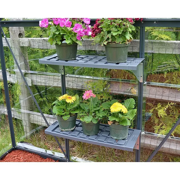Palram – Canopia Estantería para invernadero - 125 x 26 cm, Acero - Primer plano de un invernadero con dos estantes que muestran vibrantes flores en macetas sobre un exuberante fondo verde.