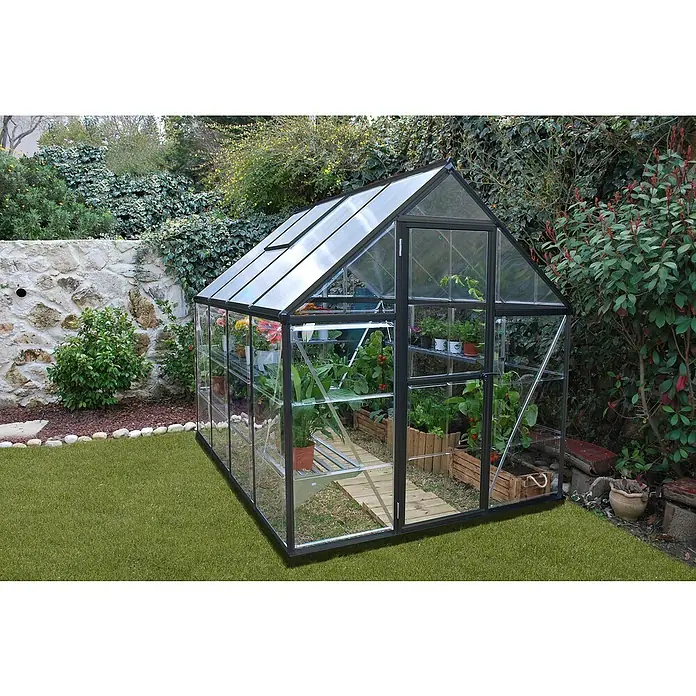 Palram – Canopia Gewächshaus Hybrid - Außenmaß inkl. Dachüberstand (B x T): 185 x 246 cm, 0,7 mm, Anthrazit - Ein Gewächshaus mit Pflanzen darin. Das Gewächshaus hat ein schwarzes Gestell und eine Glasverkleidung für optimale Lichtdurchlässigkeit.