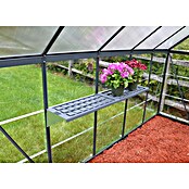 Palram Gewächshaus Hybrid (3,06 x 2,08 x 1,85 m, 0,7 mm, Polycarbonat, Anthrazit)