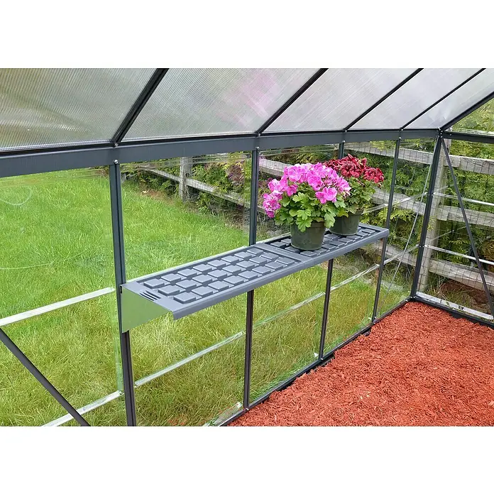 Palram – Canopia Gewächshaus Hybrid - Außenmaß inkl. Dachüberstand (B x T): 185 x 306 cm, 0,7 mm, Anthrazit - Nahaufnahme eines Gewächshauses mit einem grauen Regal, auf dem zwei Blumentöpfe mit rosa und roten Geranien stehen.