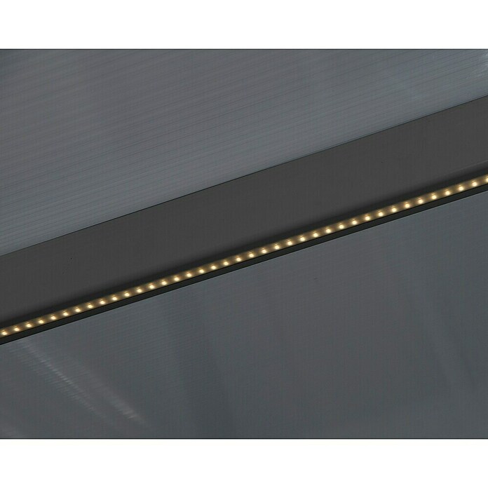 Terrassenüberdachung Tuscany LED (B x T: 3,07 x 3 m, Anthrazitgrau, Polycarbonat, Transparent) | BAUHAUS