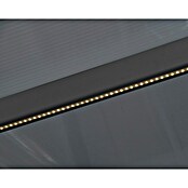 Terrassenüberdachung Tuscany LED (B x T: 3,07 x 3 m, Anthrazitgrau, Polycarbonat, Transparent) | BAUHAUS