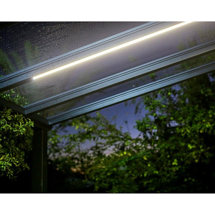 Palram – Canopia Tira LED Invernadero (25 W, Blanco neutro, Largo: 2,7 m) | BAUHAUS