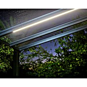 Palram – Canopia Tira LED Invernadero (25 W, Blanco neutro, Largo: 2,7 m) | BAUHAUS