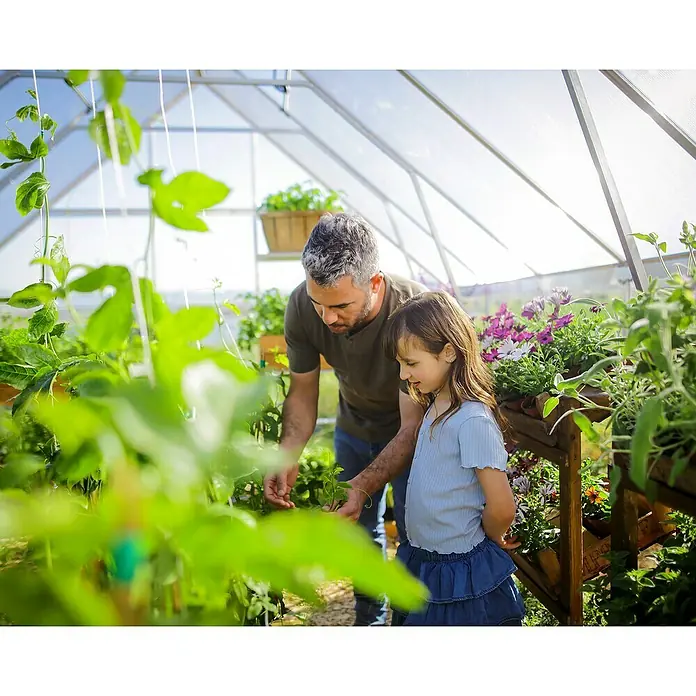 Palram – Canopia Invernadero Balance - Medidas ext. (An x Pr): 304 x 484 cm, 0,7 mm, Plateado - Padre e hija en el invernadero observan con ternura las plantas mientras cultivan el jardín juntos y exploran la naturaleza.