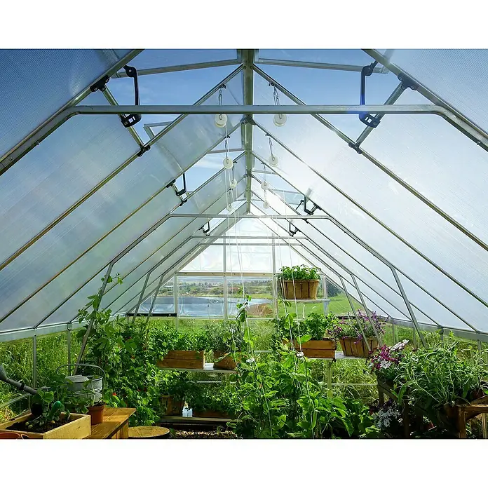 Palram – Canopia Invernadero Balance - Medidas ext. (An x Pr): 304 x 484 cm, 0,7 mm, Plateado - Vista interior de un invernadero con plantas sobre mesas y en cestas colgantes, iluminado por el techo de cristal.
