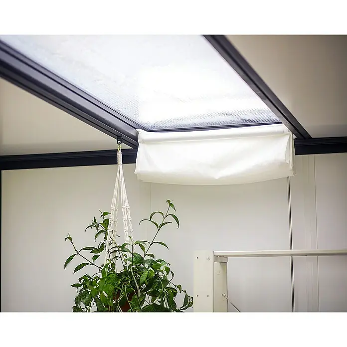Palram – Canopia Caseta de jardín Copenhaguen - Medidas ext. (An x Pr): 351 x 287 cm, Plástico, Negro - La imagen muestra un estor enrollable blanco decorativo perfectamente instalado debajo de un techo de vidrio con un marco negro, ideal para interiores elegantes.