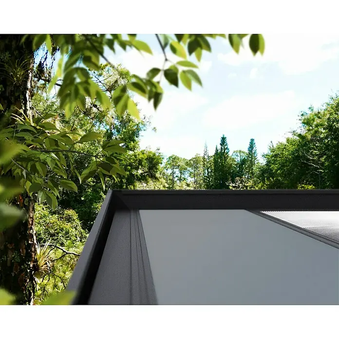 Palram – Canopia Caseta de jardín Copenhaguen - Medidas ext. (An x Pr): 351 x 287 cm, Plástico, Negro - Este primer plano muestra una claraboya con un marco elegante y oscuro, enclavada en un entorno exuberante y verde.