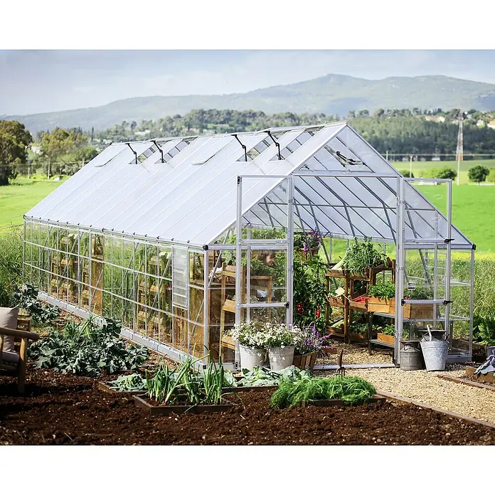 Palram – Canopia Invernadero Balance - Medidas ext. (An x Pr): 304 x 964 cm, 0,7 mm, Plateado - Imagen que muestra un gran invernadero independiente con ventanas abiertas y estantes llenos de plantas.