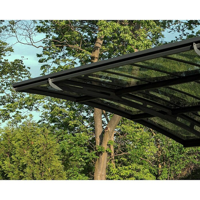 Palram – Canopia Carport Arizona Breeze (Medidas ext. (An x Pr): 578 x 495 cm, Carport doble, Antracita) | BAUHAUS