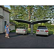 Palram – Canopia Carport Arizona Breeze (Medidas ext. (An x Pr): 578 x 495 cm, Carport doble, Antracita) | BAUHAUS