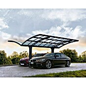 Palram – Canopia Carport Arizona Breeze (Medidas ext. (An x Pr): 578 x 495 cm, Carport doble, Antracita) | BAUHAUS