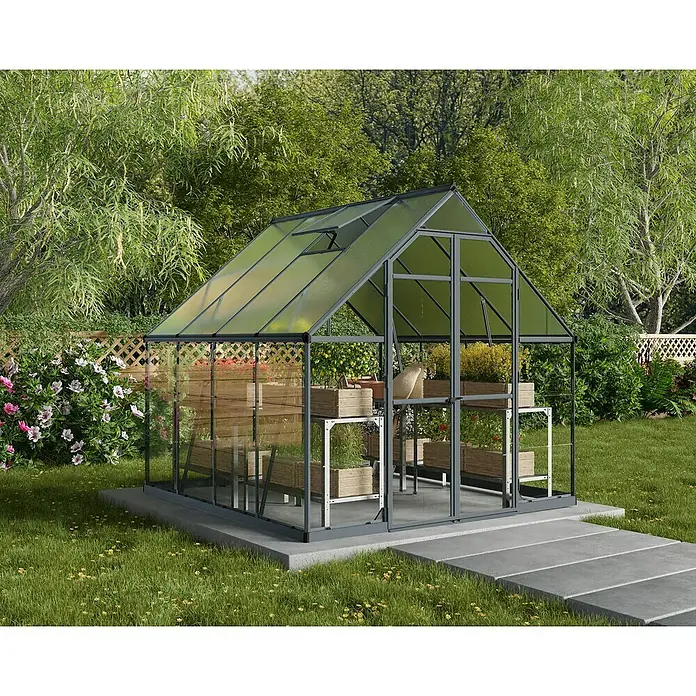 Palram – Canopia Invernadero Balance - Medidas ext. (An x Pr): 244 x 247 cm, 0,7 mm, Gris - Invernadero con plantas en un jardín. El invernadero tiene estantes con plantas y un camino pavimentado al frente.