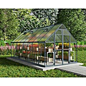 Palram – Canopia Invernadero Balance (Medidas ext. (An x Pr): 244 x 487 cm, 0,7 mm, Gris) | BAUHAUS