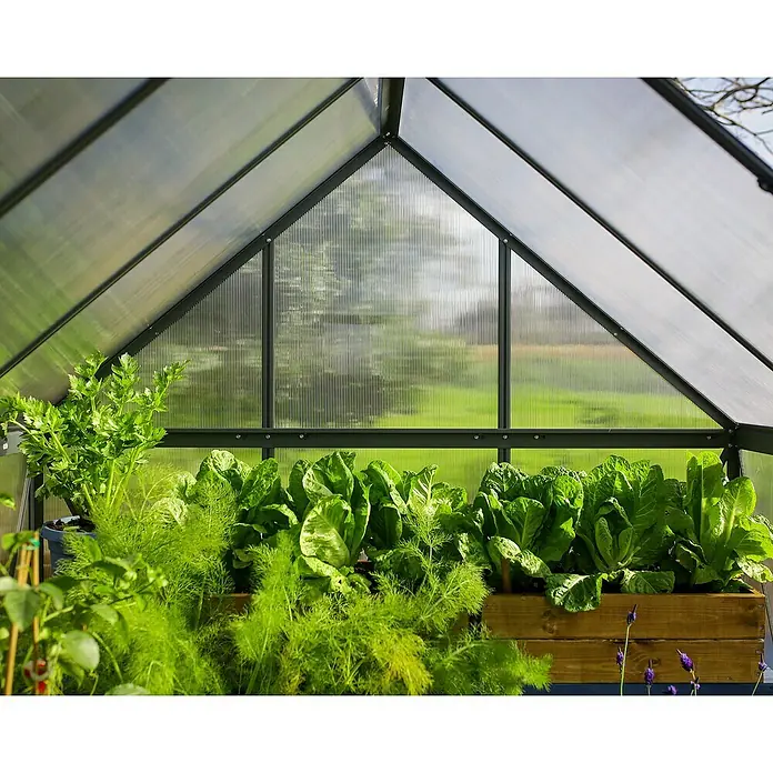 Palram – Canopia Invernadero Mythos - Medidas ext. (An x Pr): 185 x 306 cm, 4 mm, Gris - Invernadero lleno de plantas exuberantes que crecen en cajas de madera bajo el techo translúcido, con vistas a la vegetación.