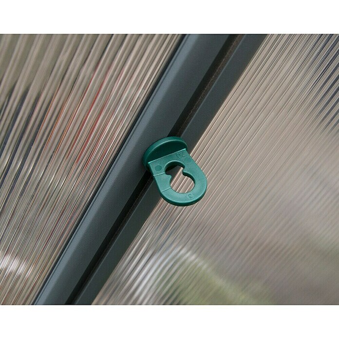 Palram Clip para invernadero (10 uds., Plástico)